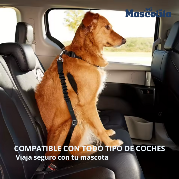 Cinturón de Seguridad para Perros |Evita Multas y Protege a Tu Peludo en el Coche