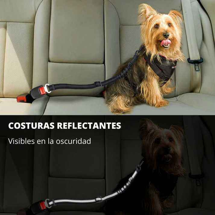 Cinturón de Seguridad para Perros |Evita Multas y Protege a Tu Peludo en el Coche