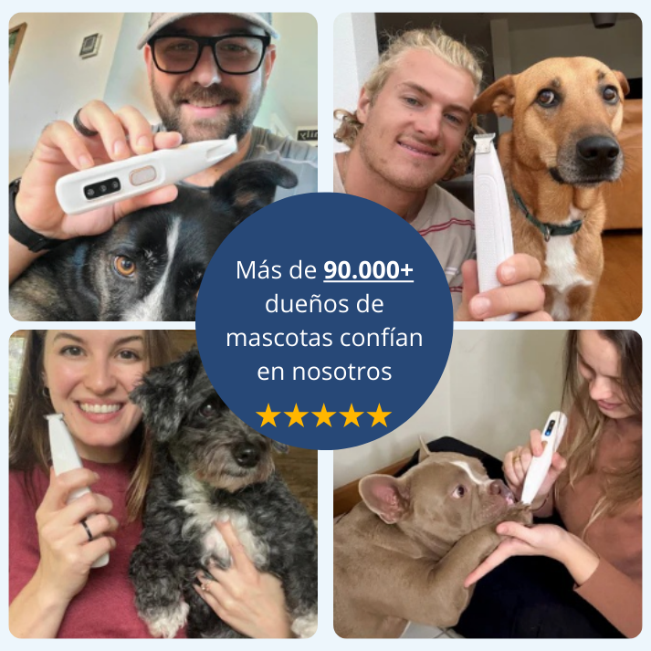 CortaPelusa Pro™ - Patitas Perfectas