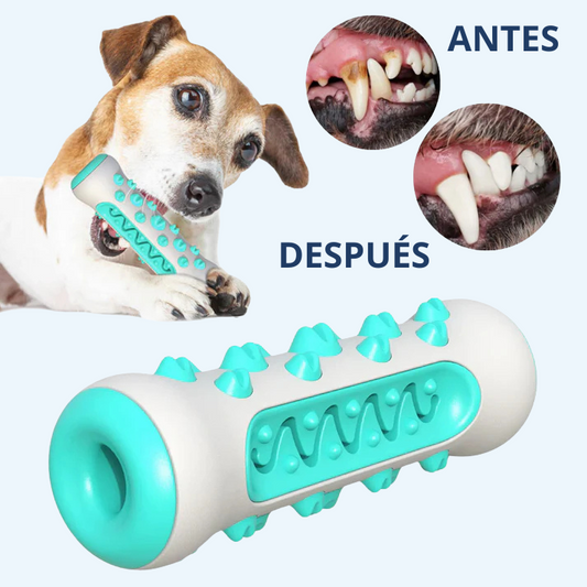 Osso a 360° DentiCool: mastica, pulisce e diverte