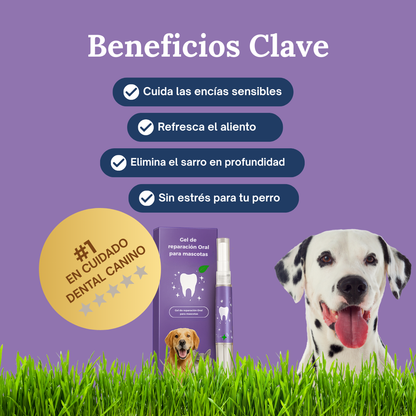 La forma más fácil de cuidar los dientes de tu perro… antes de que aparezcan los problemas.