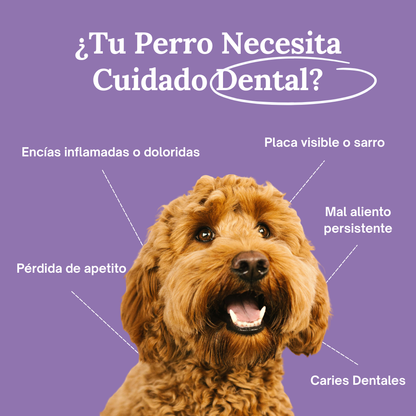 La forma más fácil de cuidar los dientes de tu perro… antes de que aparezcan los problemas.