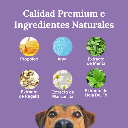 La forma más fácil de cuidar los dientes de tu perro… antes de que aparezcan los problemas.