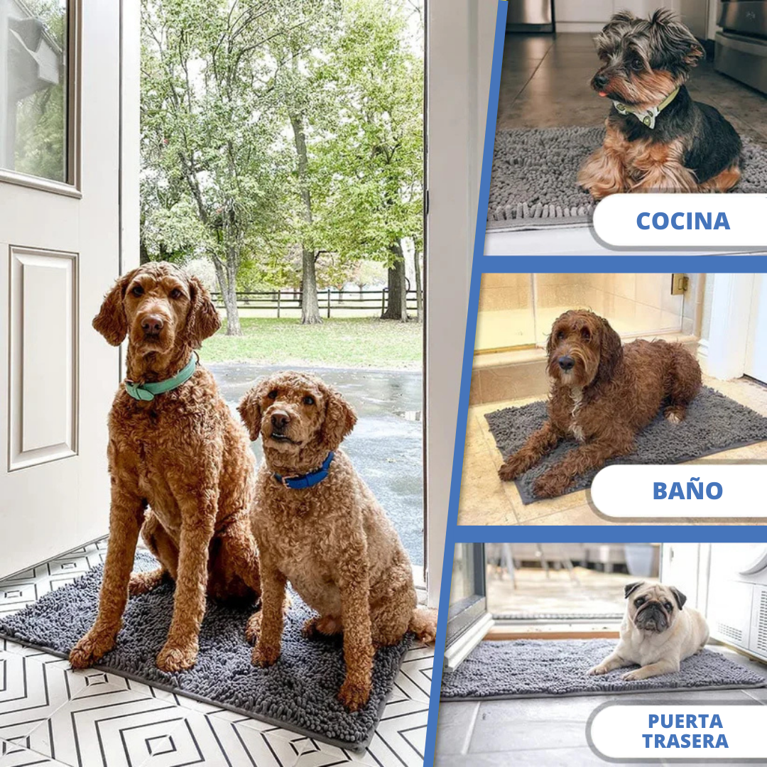 Alfombra Súper Absorbente para Perros Mascotita