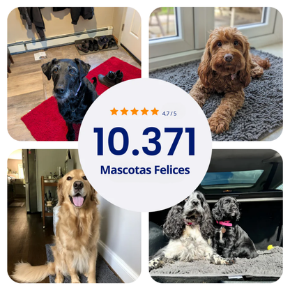 Alfombra Súper Absorbente para Perros Mascotita