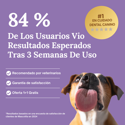 La forma más fácil de cuidar los dientes de tu perro… antes de que aparezcan los problemas.