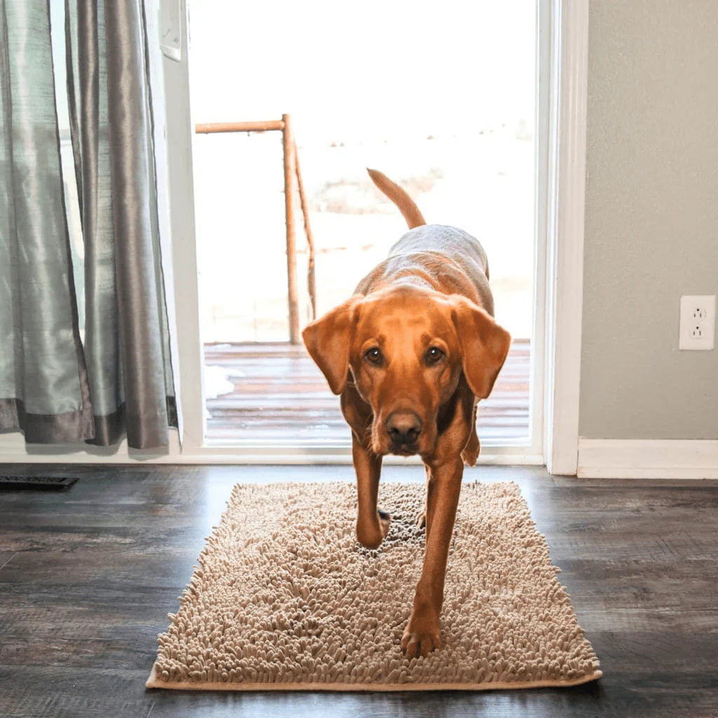 Alfombra Súper Absorbente para Perros Mascotita